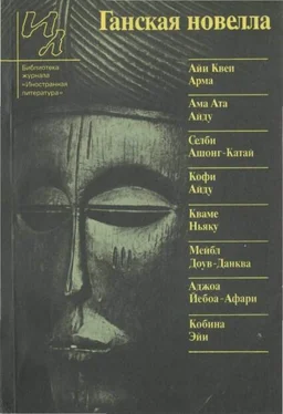 Евгений Суровцев Ганская новелла обложка книги