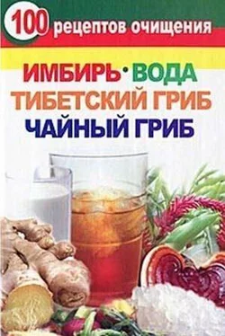 Валерия Янис 100 рецептов очищения. Имбирь, вода, тибетский гриб, чайный гриб обложка книги