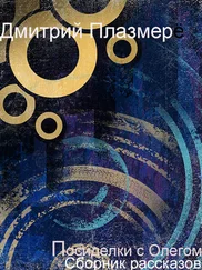Дмитрий Плазмер - Посиделки с Олегом. Сборник рассказов