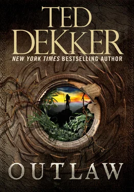 Ted Dekker Outlaw обложка книги