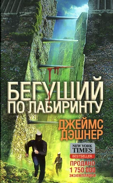 Джеймс Дэшнер Бегущий по Лабиринту обложка книги