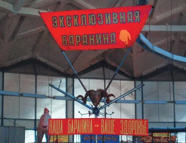 Русский язык на грани нервного срыва 3D - фото 2