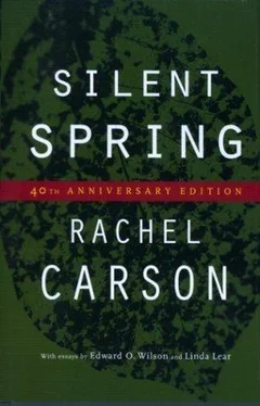 Rachel Carson Silent Spring: 40th Anniversary Edition обложка книги