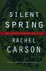 Rachel Carson - Silent Spring - 40th Anniversary Edition