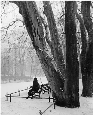 The Tiergarten January 1934 photo credit p41 CHAPTER 20 The Führers Kiss - фото 6