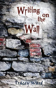 Tracey Ward Writing on the Wall обложка книги