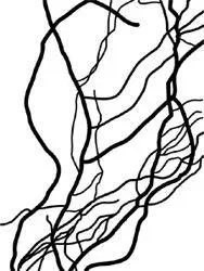Handy that you happened to have a picture of twigs with you wasnt it said - фото 7