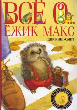 Дик Кинг-Смит Кошачья Леди обложка книги