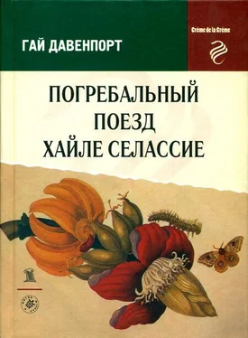 Гай Давенпорт Погребальный поезд Хайле Селассие обложка книги