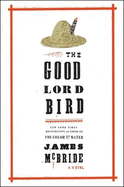 James McBride The Good Lord Bird обложка книги