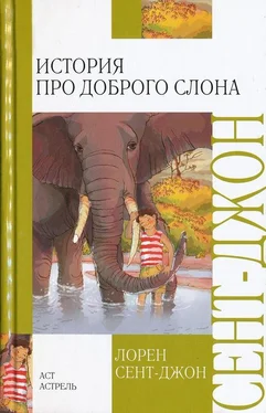 Лорен Сент-Джон История про доброго слона обложка книги