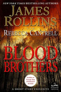 James Rollins Blood Brothers обложка книги