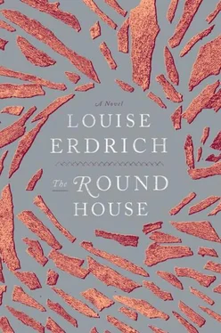 Louise Erdrich The Round House обложка книги