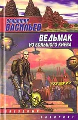 Владимир Васильев - Вопрос цены