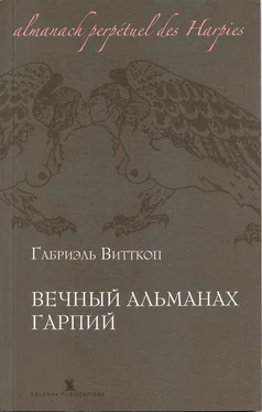 Габриэль Витткоп Вечный альманах гарпий обложка книги