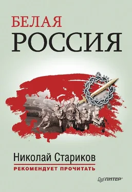 Николай Стариков Белая Россия обложка книги