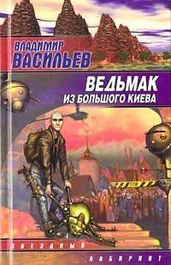 Владимир Васильев Родина безразличия обложка книги