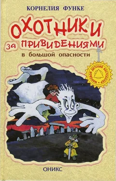 Корнелия Функе Охотники за привидениями в большой опасности обложка книги