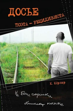 Константин Корсар Досье поэта-рецидивиста обложка книги