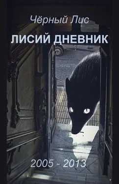 Чёрный Лис Лисий дневник обложка книги