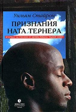 Уильям Стайрон Признания Ната Тернера обложка книги