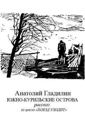 Анатолий Гладилин Южно-Курильские острова обложка книги