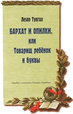 Леэло Тунгал Бархат и опилки, или Товарищ ребёнок и буквы обложка книги