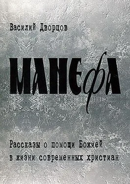 Василий Дворцов Манефа обложка книги