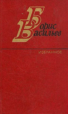 Борис Васильев Летят мои кони обложка книги