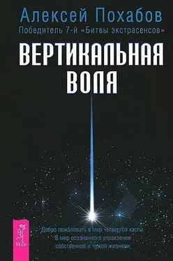 Алексей Похабов Вертикальная воля обложка книги