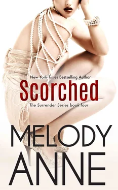 Melody Anne Scorched обложка книги