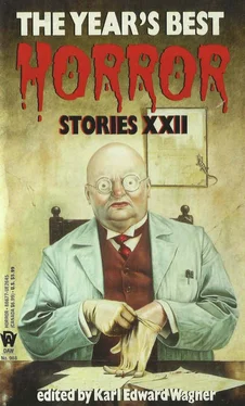 Karl Wagner The Year's Best Horror Stories XXII обложка книги