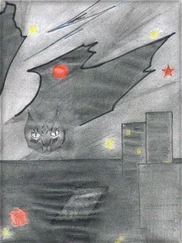 StEll Ir - Сонадариум. Полёт Ли