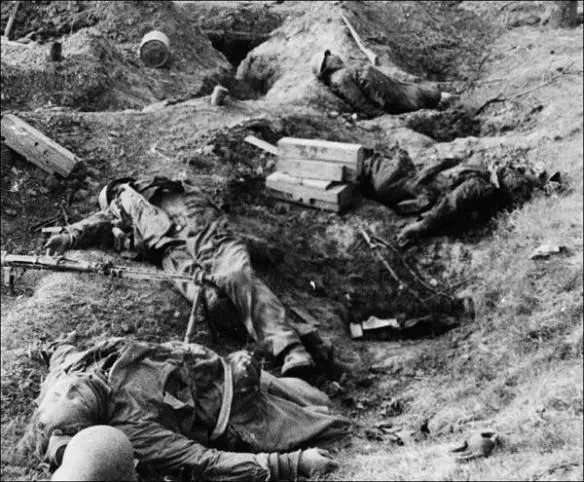 German dead in their smashed trenches below Seelow 9 KarlHermann Tams as a - фото 24