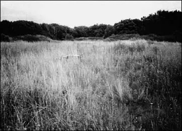 14 The overgrown site of Schloss Klessin today 15 The Wuhden memorial to - фото 32