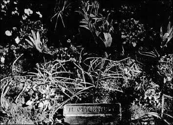 17 Hinnerk Otterstedts grave in Sachsendorf 18 Harry Zvi Glaser in 1945 - фото 35
