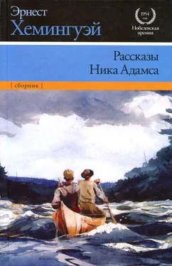 Эрнест Хемингуэй Рассказы Ника Адамса обложка книги