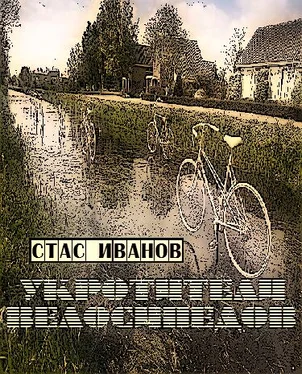 Стас Иванов Укротители велосипедов обложка книги