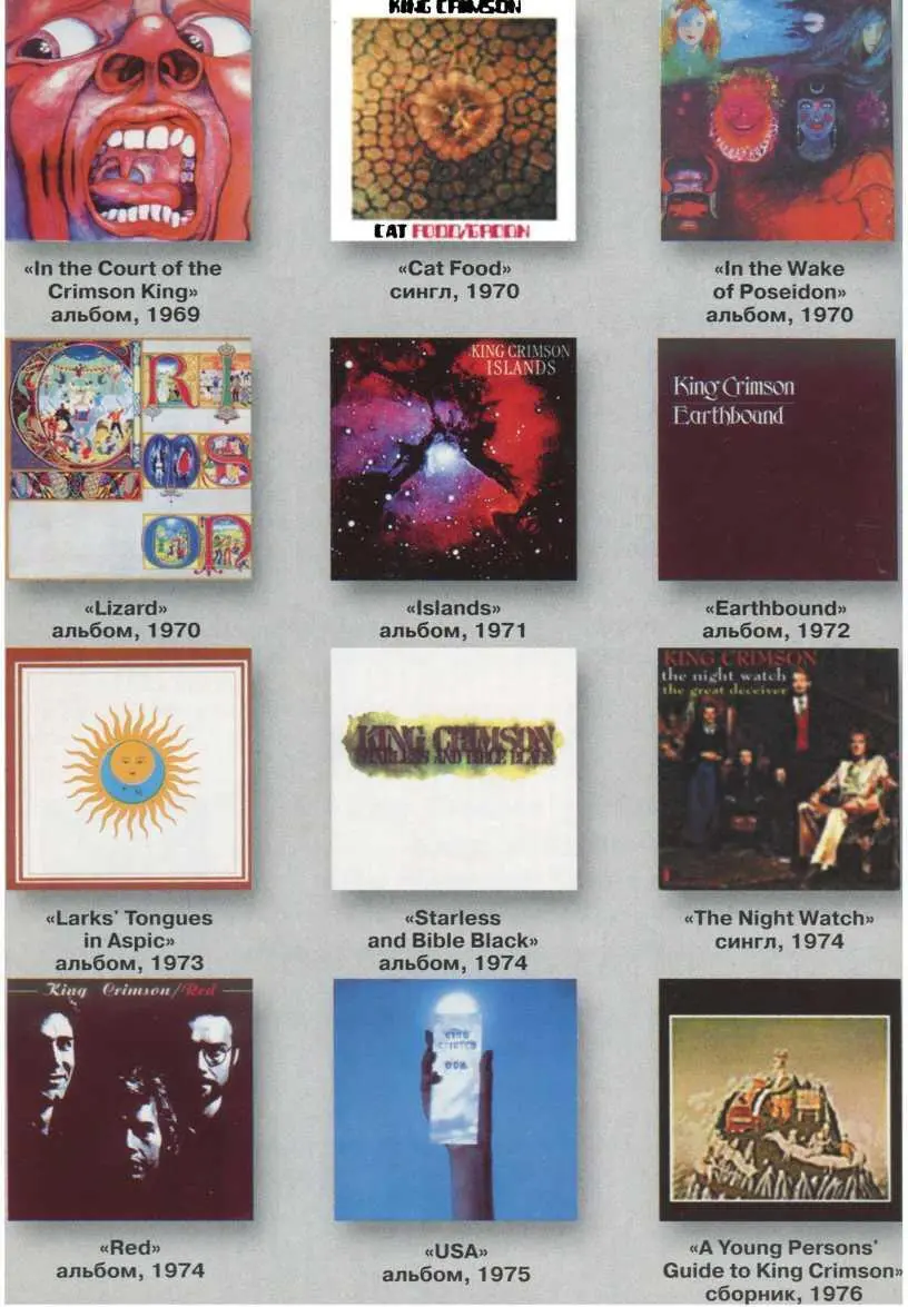 Русифицированный King Crimson - фото 45