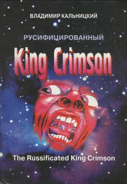 Владимир Кальницкий Русифицированный King Crimson обложка книги