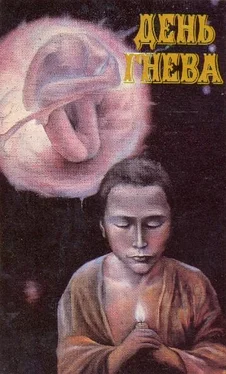 Александр Бачило День гнева (сборник) обложка книги