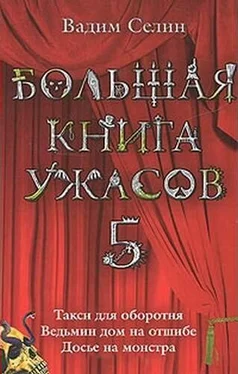 Вадим Селин Большая книга ужасов-5 обложка книги