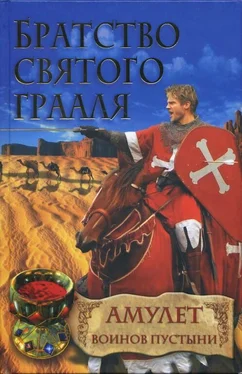 Райнер Шрёдер Амулет воинов пустыни обложка книги