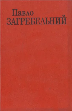 Павел Загребельный День для прийдешнього обложка книги