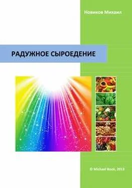 Михаил Новиков Радужное сыроедение обложка книги