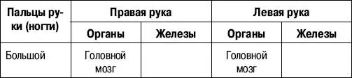 Ноги Иньорганы чувств обеспечивают вкусовую тактильную и - фото 1