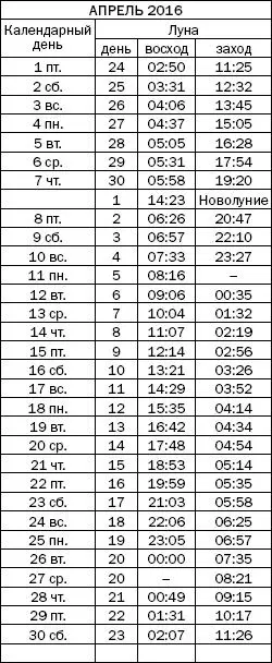 Как узнать все о своем здоровье по ногтям и волосам Диагностика и оздоровление - фото 68
