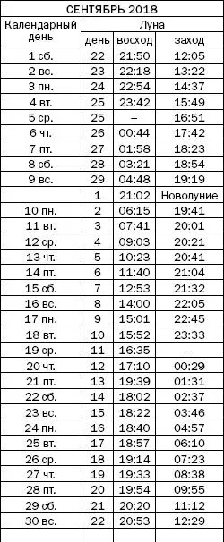 Как узнать все о своем здоровье по ногтям и волосам Диагностика и оздоровление - фото 97