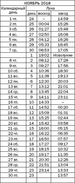 Как узнать все о своем здоровье по ногтям и волосам Диагностика и оздоровление - фото 99