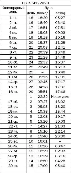 Как узнать все о своем здоровье по ногтям и волосам Диагностика и оздоровление - фото 122
